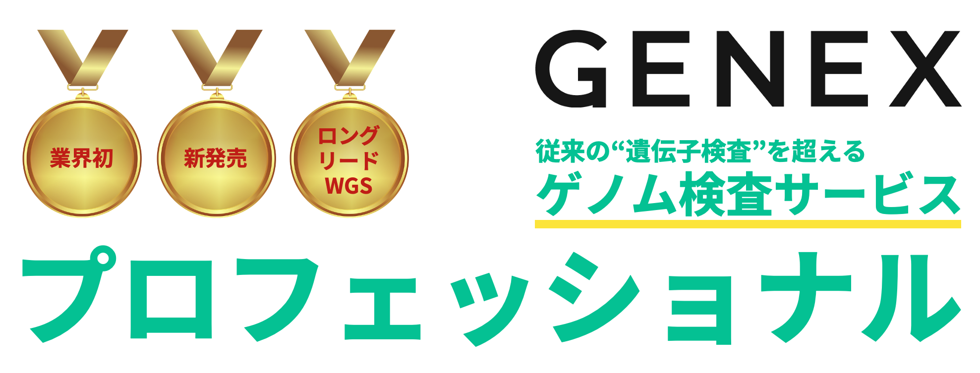 プロフェッショナル